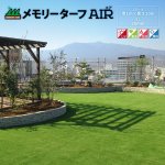 画像1: メモリーターフAIR (1)